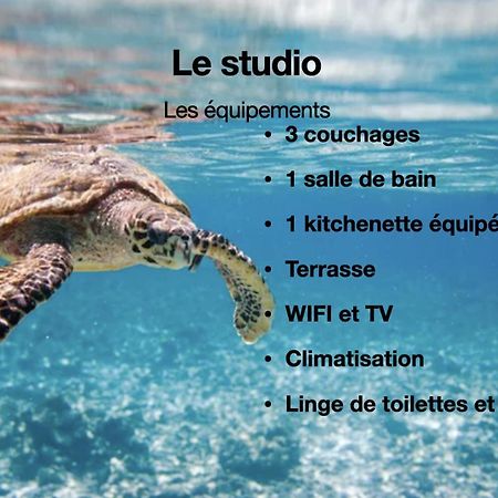 Studio Hippocampe P&V Sainte-Luce Kültér fotó