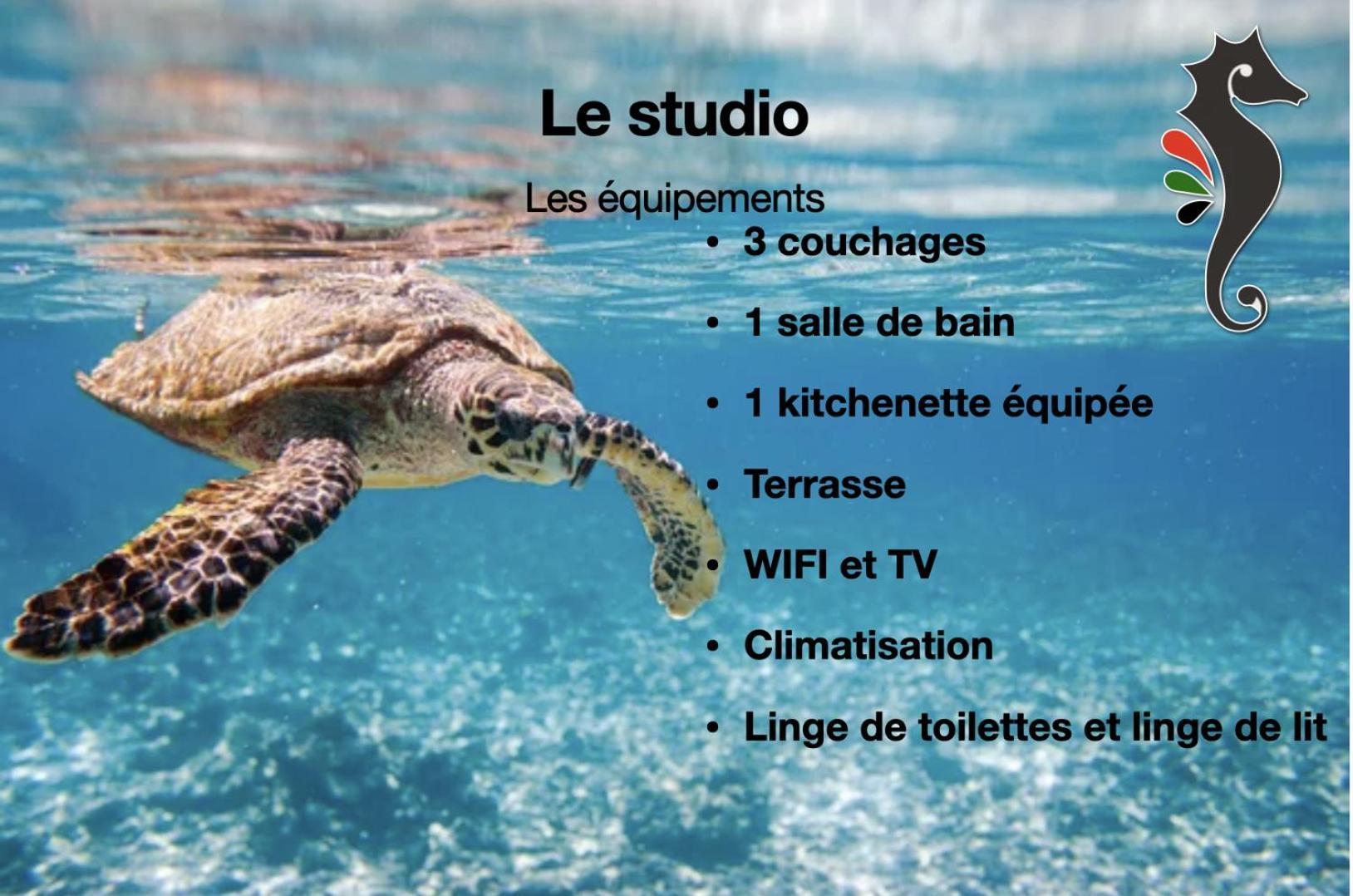 Studio Hippocampe P&V Sainte-Luce Kültér fotó
